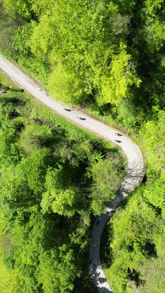 vlcsnap-2024-11-01-10h18m51s873