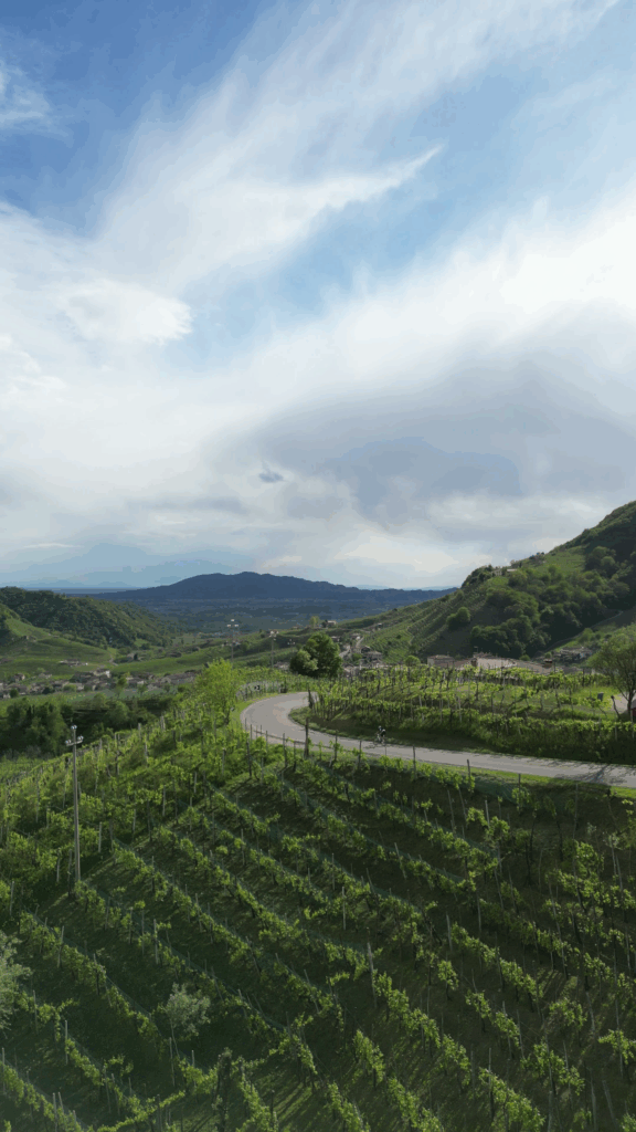 vlcsnap-2025-08-06-12h08m25s743