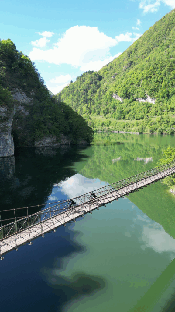 vlcsnap-2025-08-06-12h15m46s357