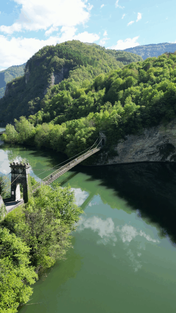 vlcsnap-2025-08-06-12h16m43s487