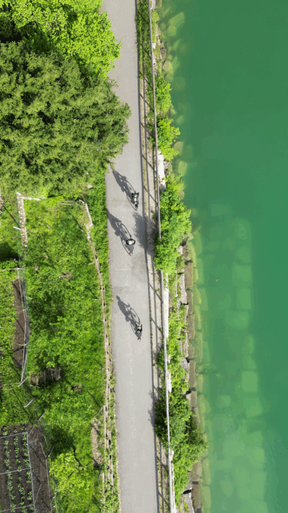 vlcsnap-2025-08-06-12h20m05s332